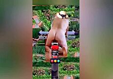 Zea812 drops update 225 with file 1000057672 on Jul 08 2025