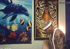 Behind Scenes Asian Babe Nerd Fucks Italian Machine Pornstar Glasses Gloves Natural Tits