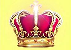 ayesha erotica slays as literal wig legend