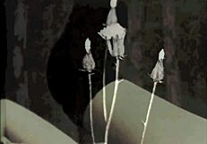 dark lantern pits 1850s hairy beavers vs 1970s blowjobs