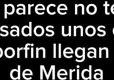 uhh merida's joi en español got me strokin too fast