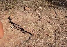 My huge Indian dick ravages big ass desi beauty in jungle