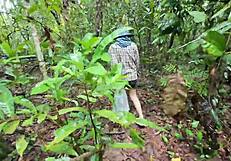 wow! cute thai girl pees forest mushroom hunt 4k