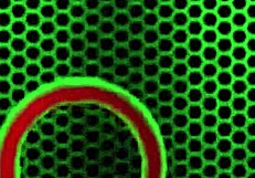 blonde milf christie stevens bends over bed footjobs philly johns big cock with wet pussy lips showing