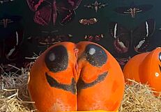 Teen whore bent over doggystyle takes double creampie from monster cocks