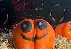 Teen whore bent over doggystyle takes double creampie from monster cocks