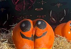 Teen whore bent over doggystyle takes double creampie from monster cocks