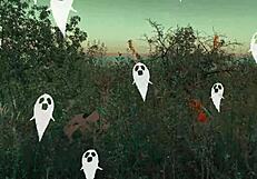 i tag along as velma solves mysteries with scooby doo outdoors