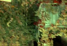 i tag along as velma solves mysteries with scooby doo outdoors