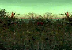 i tag along as velma solves mysteries with scooby doo outdoors