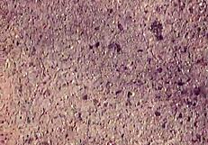 grubby calloused bare feet fetish dirt under soles begs licking