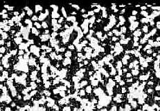 raya nguyen's pussy blasted full of hot cum 💦 damn that's intense 😍