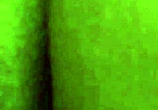 sun-soaked vacation turns into hungry pussy licking frenzy