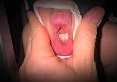 Big Ass Sex Doll Worshipped And Spread For Monster Cock Deep Penetration