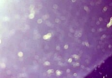 running naked through streets feeling free