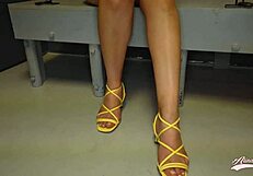 that arabic whore alina angel begs for prison detective's cock pounding