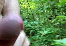 Clitlicker662's outdoor forest flashing update