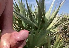 Clitlicker662's teasing update hints at wild flashes