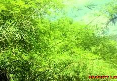 ever seen ebony wife fuck pastor at baptism close up creampie?