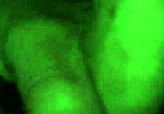 watch monster big cock stroke to explosive cumshot eruption