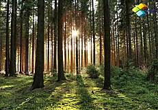 whoa, hot rimjob from this horny slut with big ass shaking in doggystyle