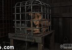 imagine getting bound and caned hard while i suck your cock deep