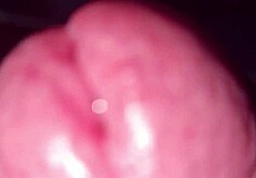 solo guy moans loudly jerking enormous cock for immense pov cumshot and intense orgasm