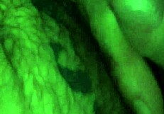 watch monster big cock stroke to explosive cumshot eruption