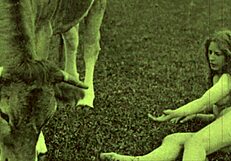 Victorian Gentleman's Erotic PUSSY Confessions Bareback Vintage