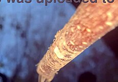 milf witch pussy creampied doggystyle in forest woods