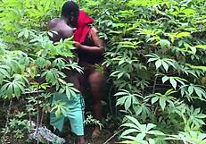 neighbor's wife hides in bushes for secret bbc pounding?