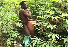 neighbor's wife hides in bushes for secret bbc pounding?