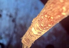 milf witch pussy creampied doggystyle in forest woods