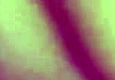 secret african sex dates turn into wild orgies on erotic forum nigeria