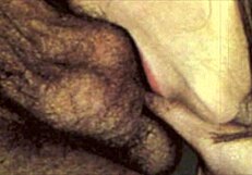 ever wonder about victorian taboo confessions from a naughty english gentleman's erotic family secrets?