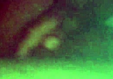 secret african sex dates turn into wild orgies on erotic forum nigeria