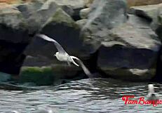 Daddy sneaks in to fuck taboo not-daughter while family swaps voyeur style