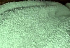 damn she gasps moans spits on his huge cock slow intense handjob loads of cum to swallow