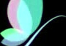 sexy asian masseuse feifei moans while fucking client doggystyle