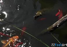 Kinky European Babe Delivers Footjob Erotic Facial Climax