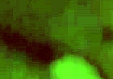 Wifey's Wet Play Teases While Hubby Watches Friend?