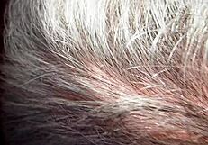 Flower's Juicy Ebony Pussy Gets Dripping Wet Lick at Pool by Daddy