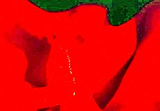 she's blindfolded and giving this intimate close-up blowjob quickie like a pro