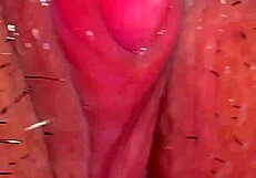 amateur wife licks shaved pink pussy close up 310 days post virginity loss