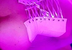 Why does this latina bar waitress beg foreigners to raw fuck her huge pussy?