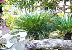 dadaji ravages virgin girl alone in hardcore frenzy