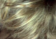 curvy mature blonde wife flashes big natural tits then deepthroats hubby's monster cock for cum in mouth on bed