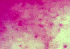 Milf dildo pussy play hides hottest secrets