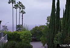 Vixenplus tori black rides cock wildly before taking deep anal and ass to mouth finish