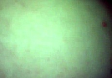 horny roommate needed that creampie so bad